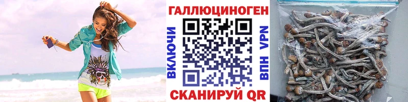 Псилоцибиновые грибы прущие грибы  где продают   Лесозаводск 