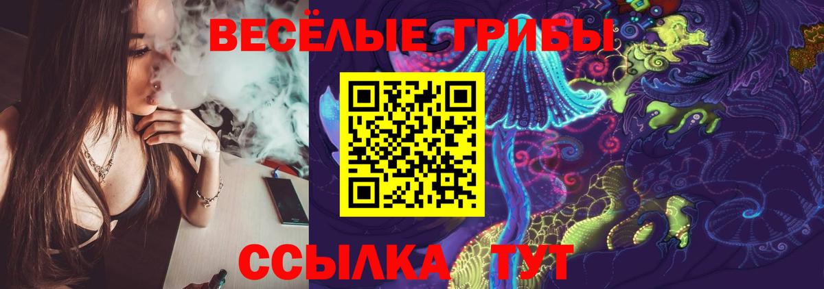 Галлюциногенные грибы Psilocybe  Вход с VPN  как найти наркотики  Галлюциногенные грибы GOLDEN TEACHER  Лесозаводск 